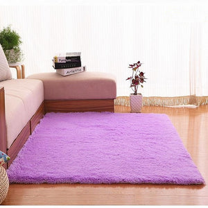 Plush Fabric Anti-slip Mat Thick Floor Carpets